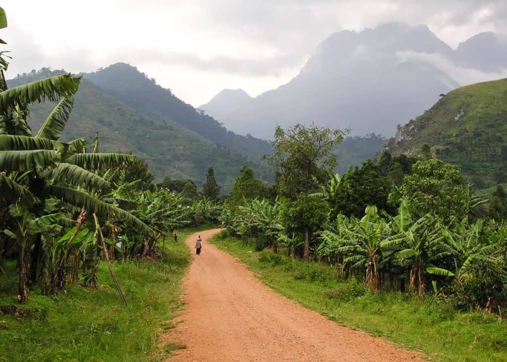 Uganda National Parks