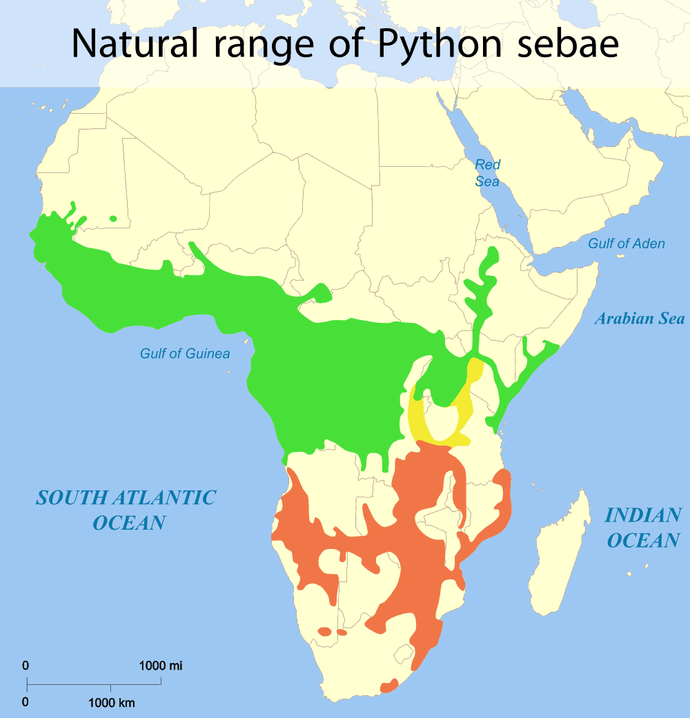 Range of African Rock Python Python sebae