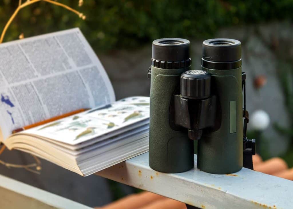 Best compact binoculars for birding