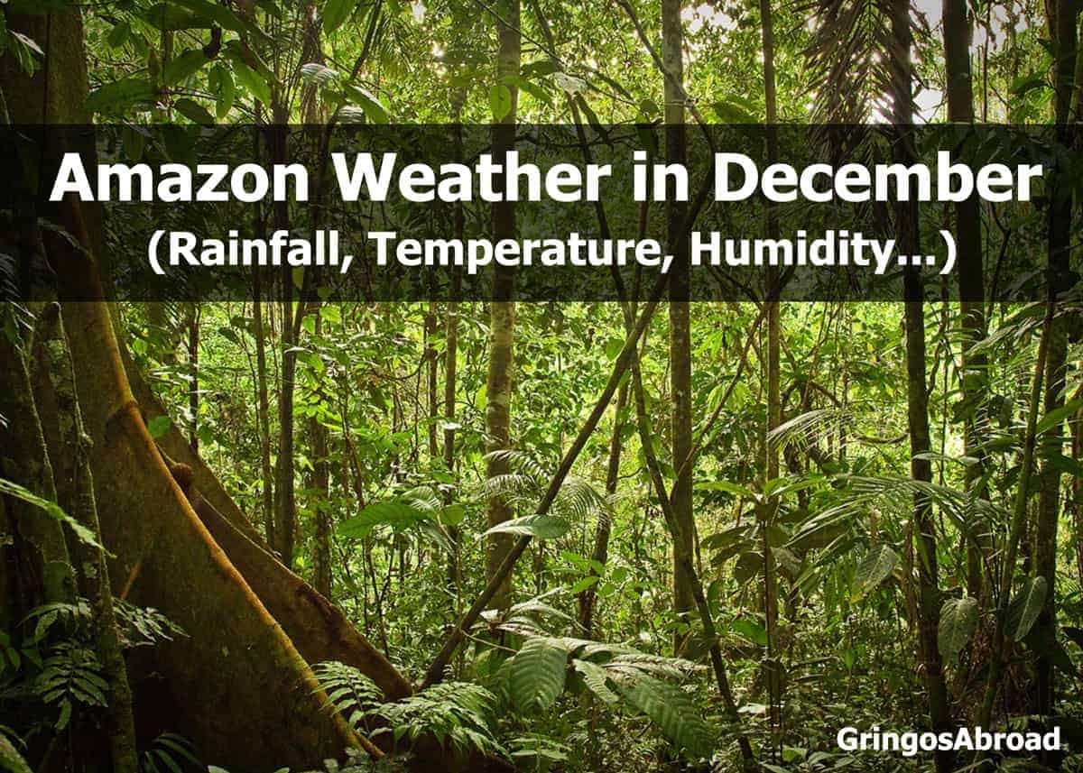 Amazon weather in December
