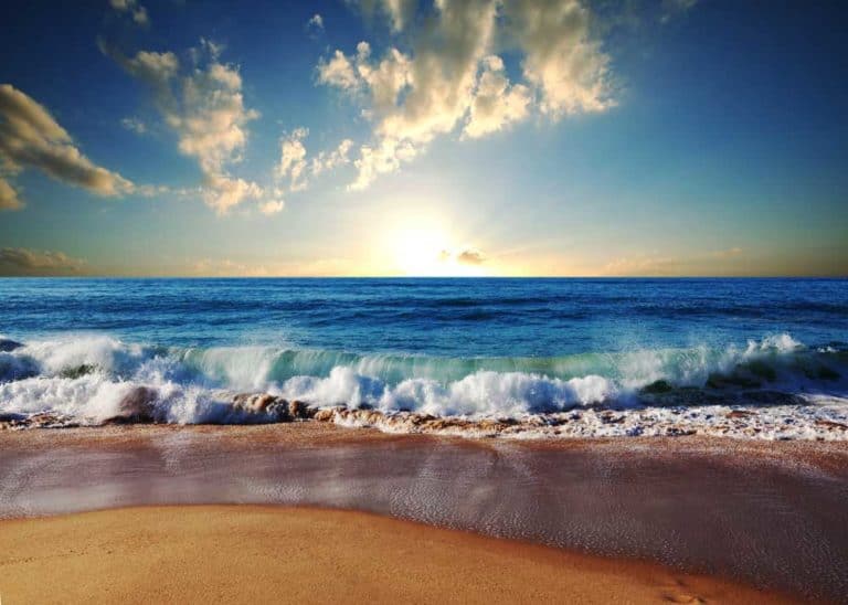 115 Happy Beach Quotes & Sayings (Sunshine & Ocean Captions)