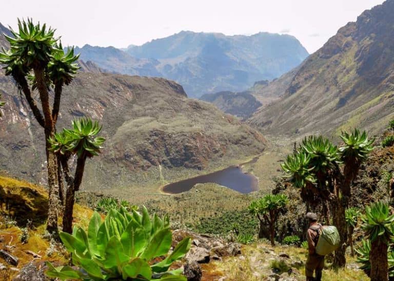 Rwenzori Mountains: 13 Things About “Mountains of the Moon”