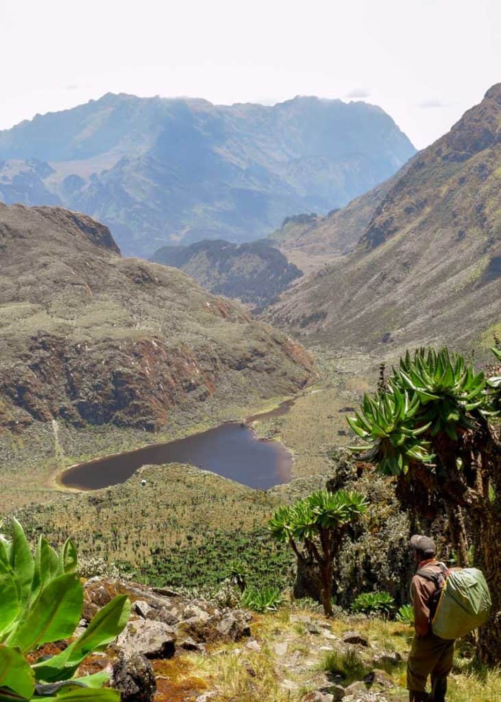 rwenzori mountains national park