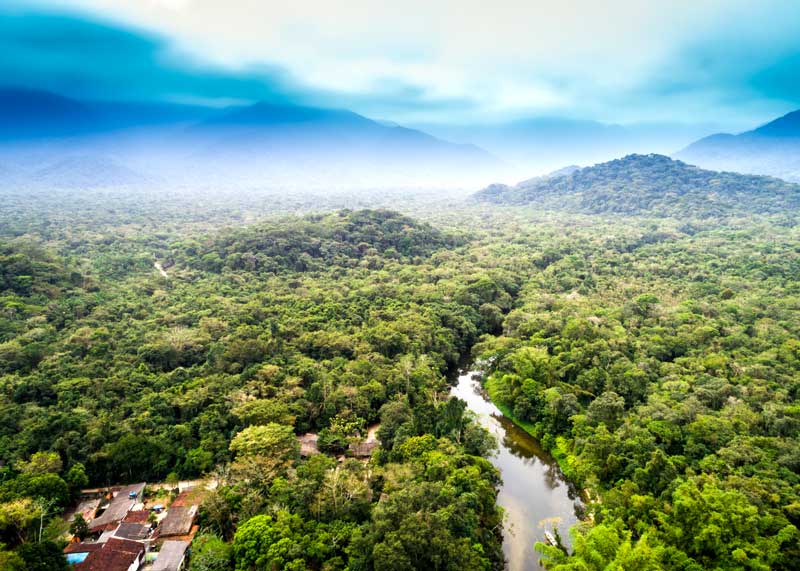 amazon jungle worlds largest rainforest