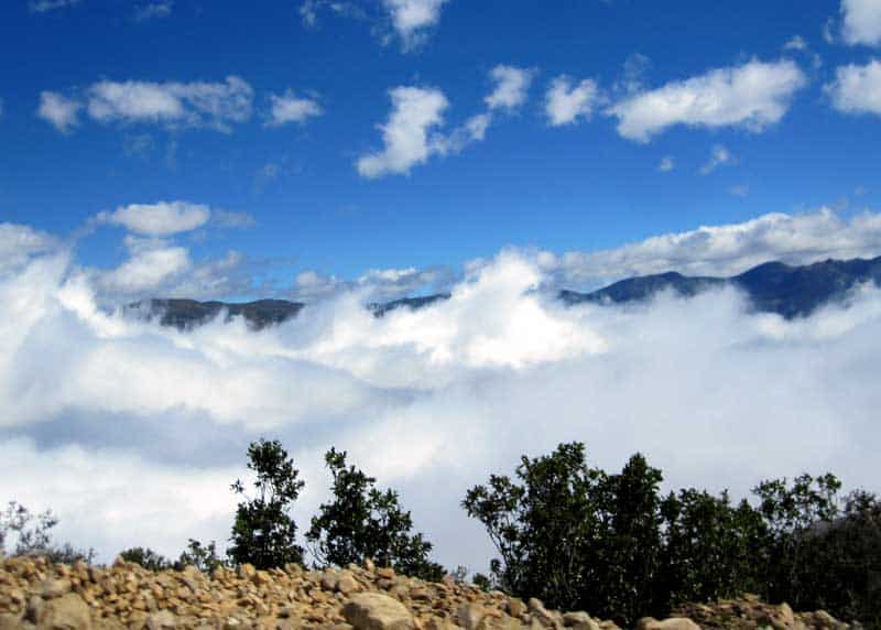 cloud forest ecuador