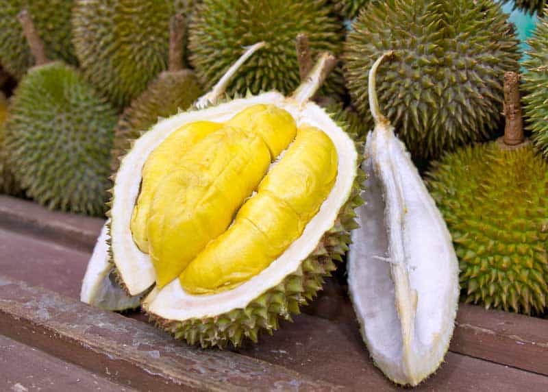 durian dessert fruit