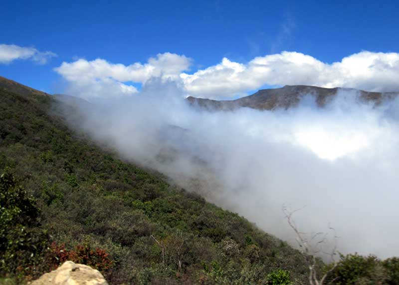 ecuador cloud forest