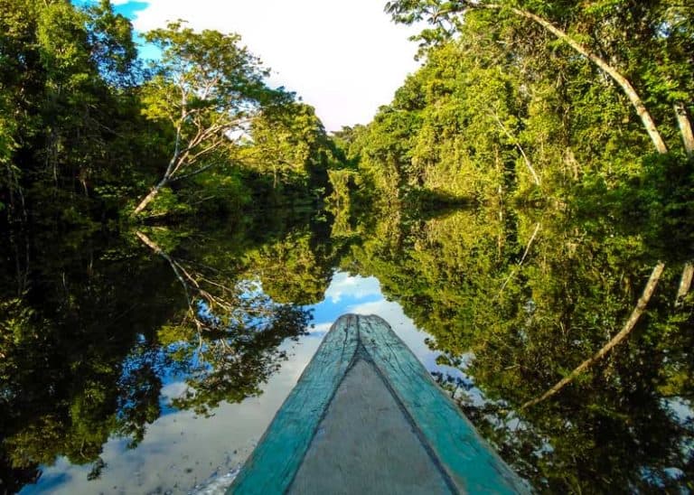 16 Largest Rainforests in the World: Travelers Guide