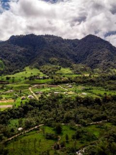 mindo valley cloud forest ecuador