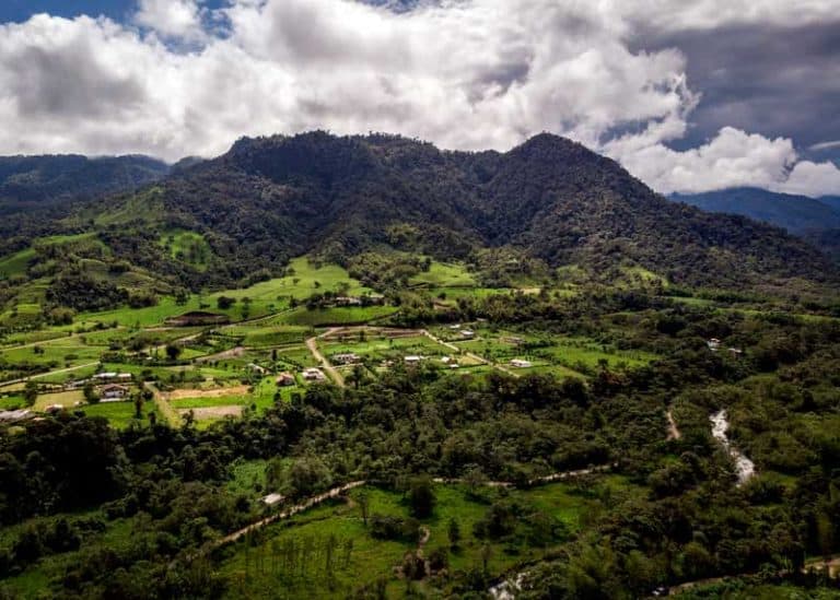 Ecuador’s Cloud Forests: 13 Things to Know (Travelers Guide)