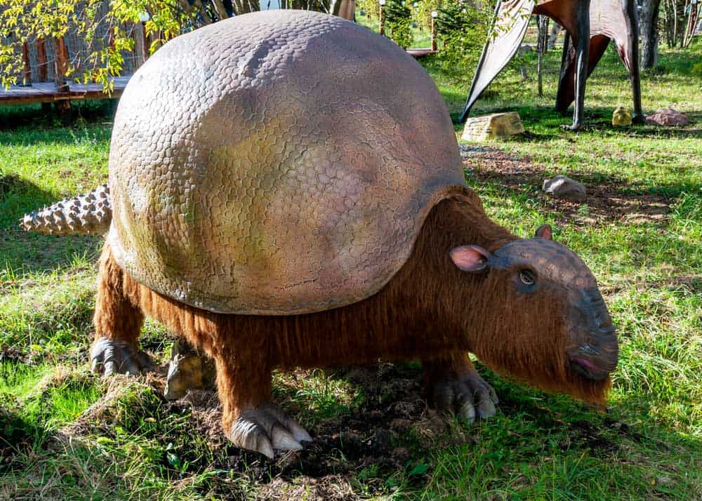 giant armadillo extinct
